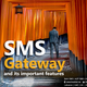 Illustration for article titled SMS Gateway and its important featuresem/em